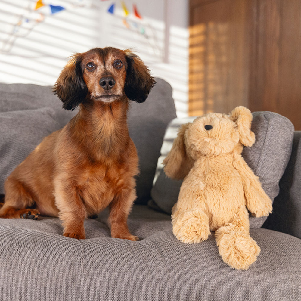 Beeztees Hundespielzeug Hund Vajen 
