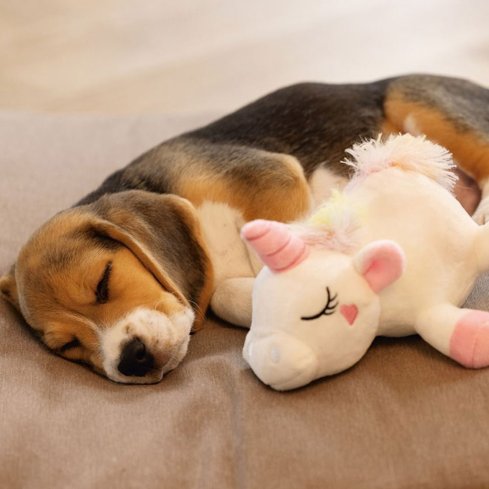 Beeztees Puppy Spielzeug Einhorn Owen 