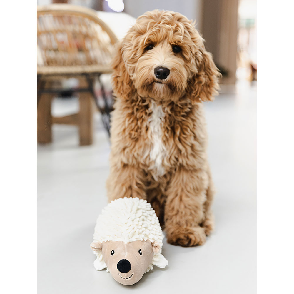 Beeztees Eco Hundespielzeug Igel Ittie - geräuschlos 