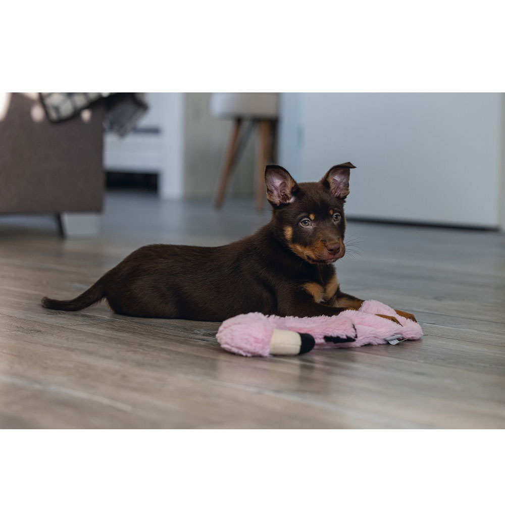 Beeztees Puppy Flatino Flamingo Fe 