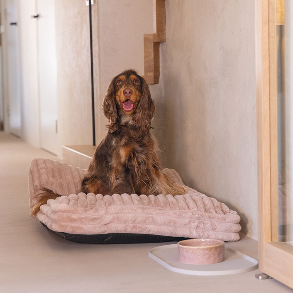 Designed by Lotte Hundekissen Reza - Rosa 