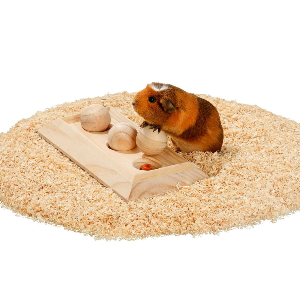 Karlie Rody Brain Train Board mit 3 Kugeln 