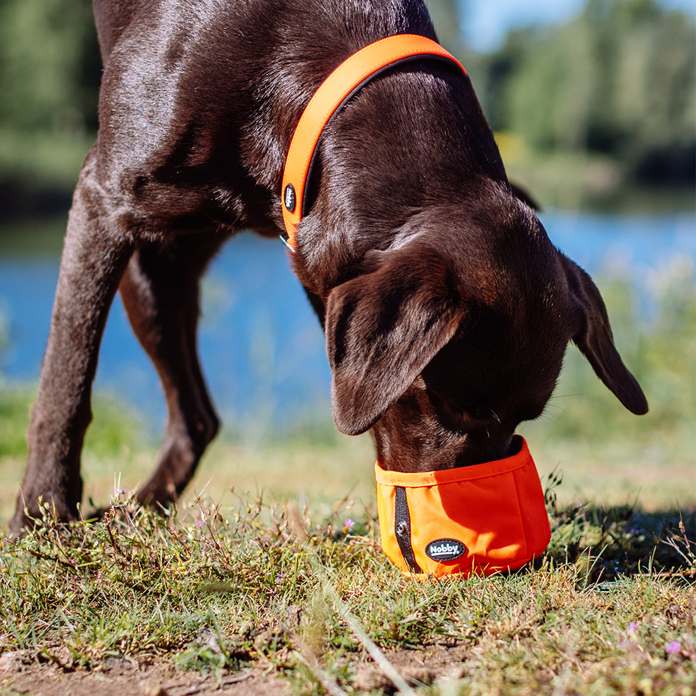 Nobby Reisenapf Rio - orange 