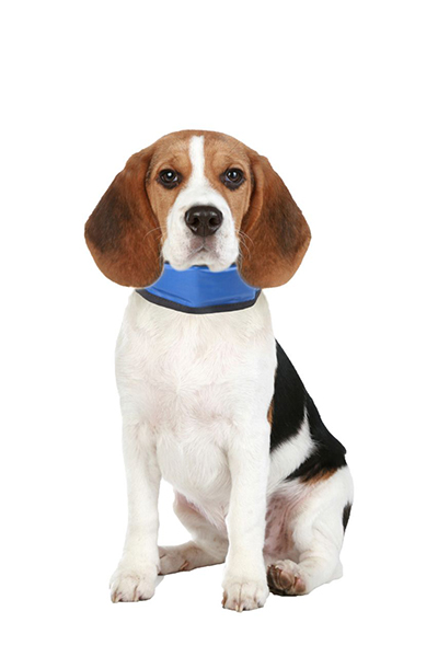 Karlie "Kühl-Kombi": Matte + Bandana 