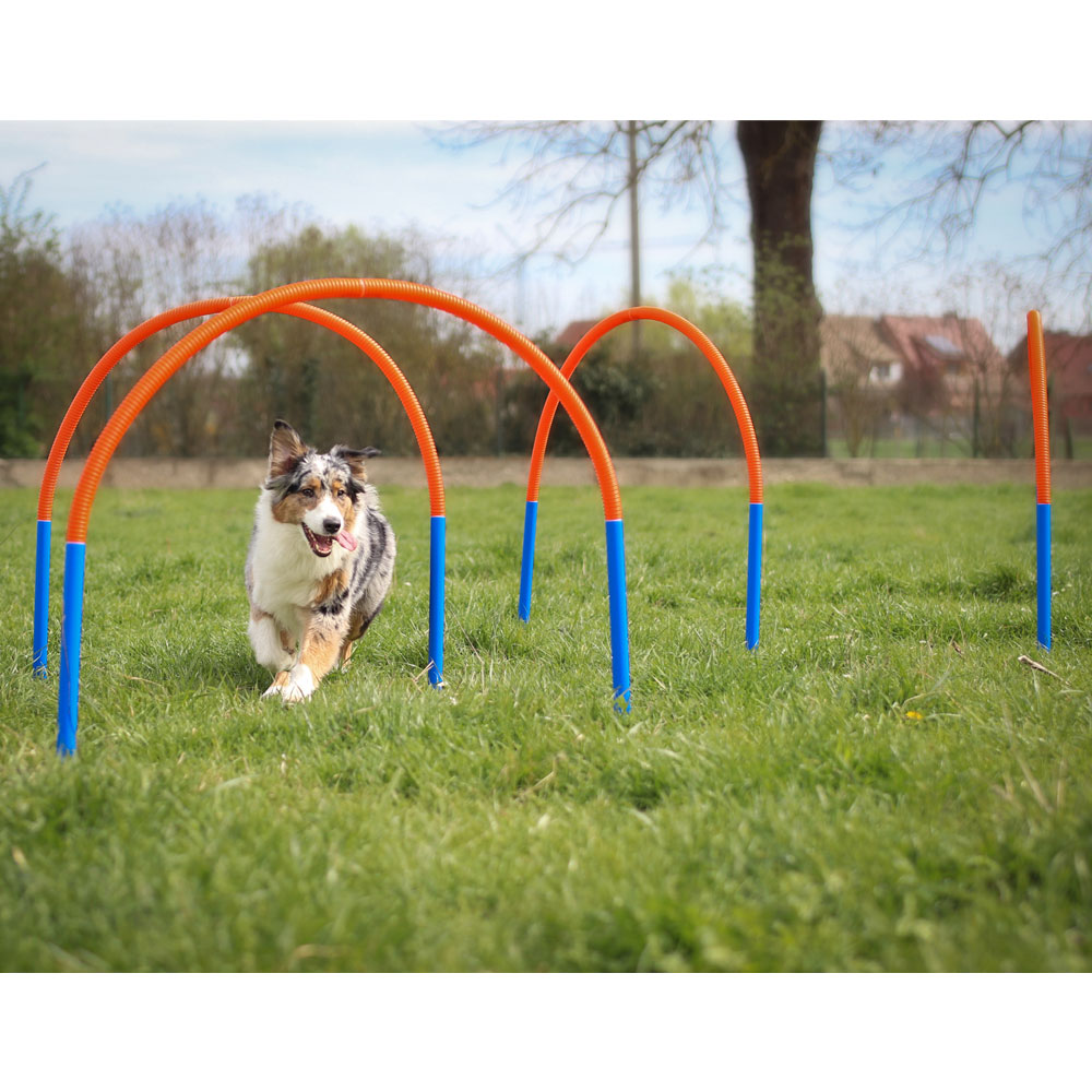 PROCYON Hoopers Set 