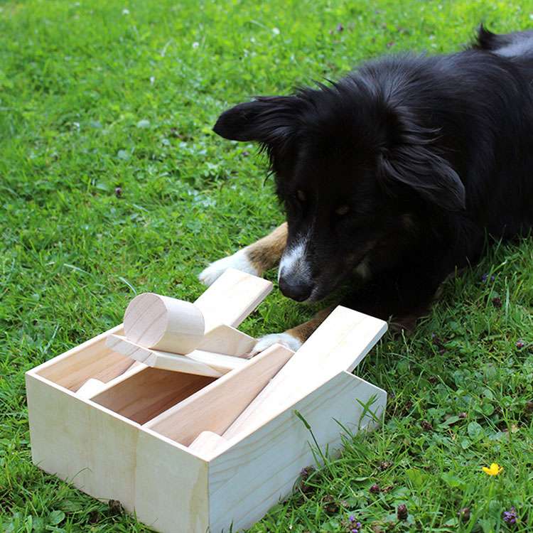PROCYON Intelligenzspielzeug Hundeklavier 