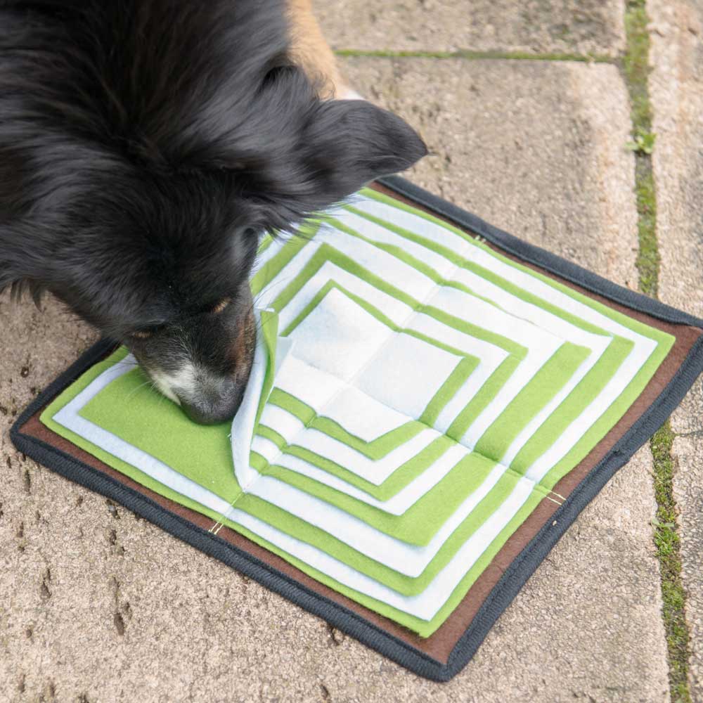 PROCYON Schnüffelpyramide 