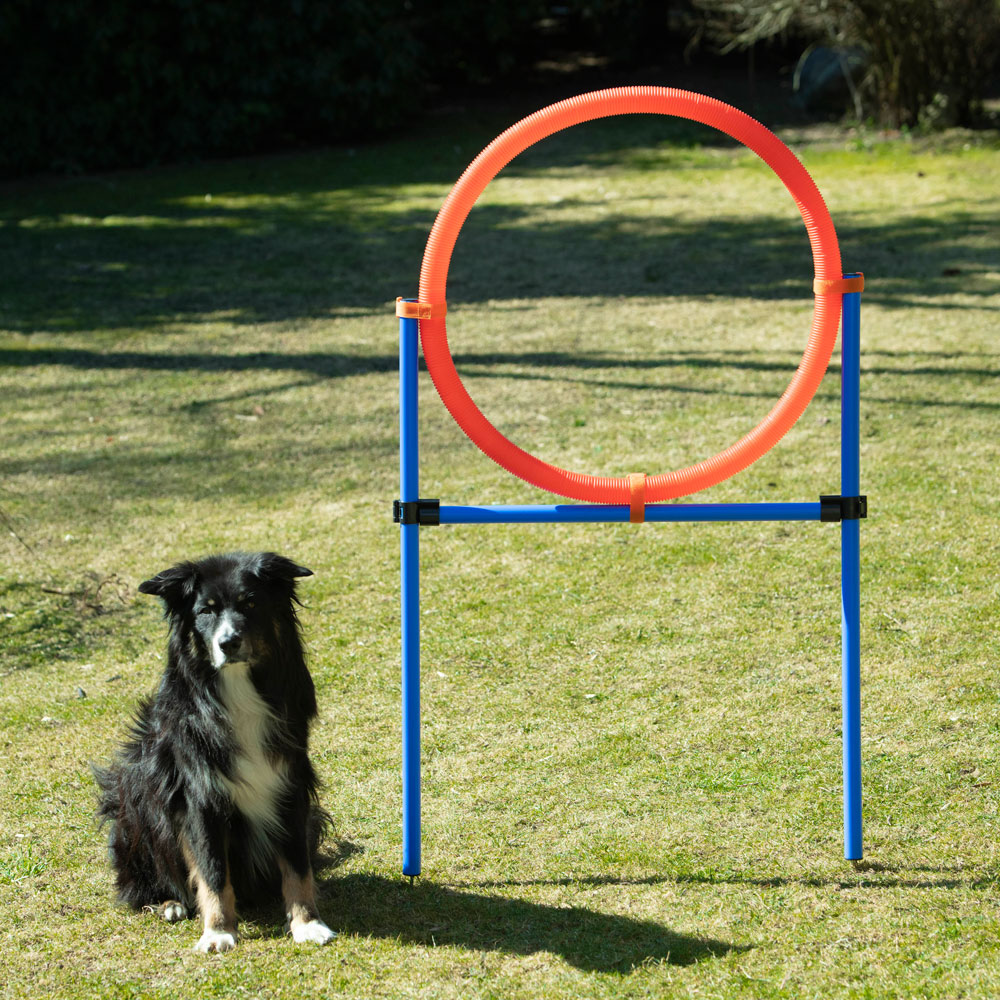 Dog Agility Sprungring - Groß (70cm) 