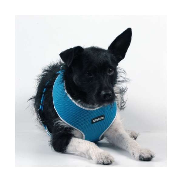 Pet-Star Softgeschirr / Netzgeschirr - Blau L