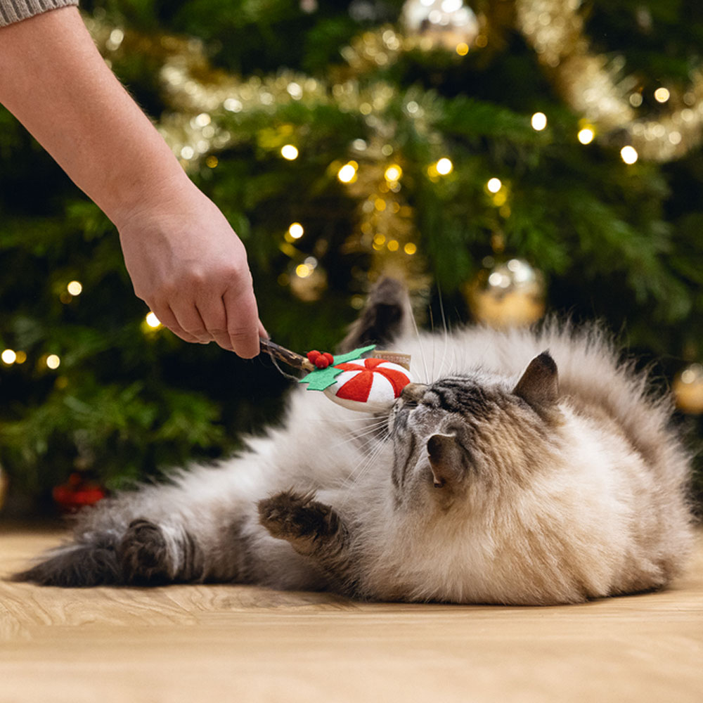 Beeztees Xmas Katzenspielzeug Matatabi-Lollipop 
