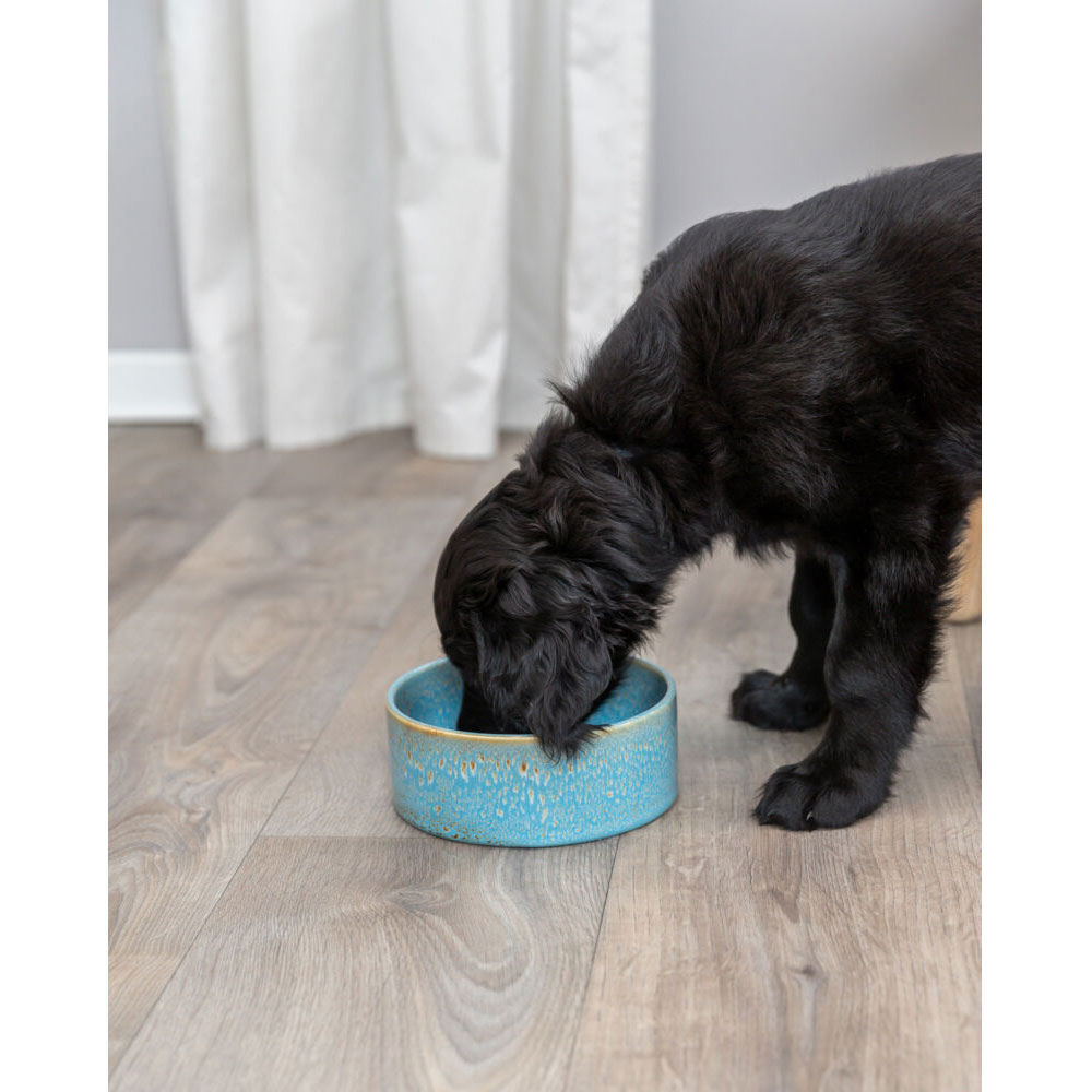 Trixie Keramiknapf mit Musterung - blau 0,9 l/ø 16 cm