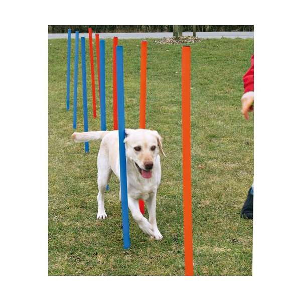 Trixie Agility Slalom 