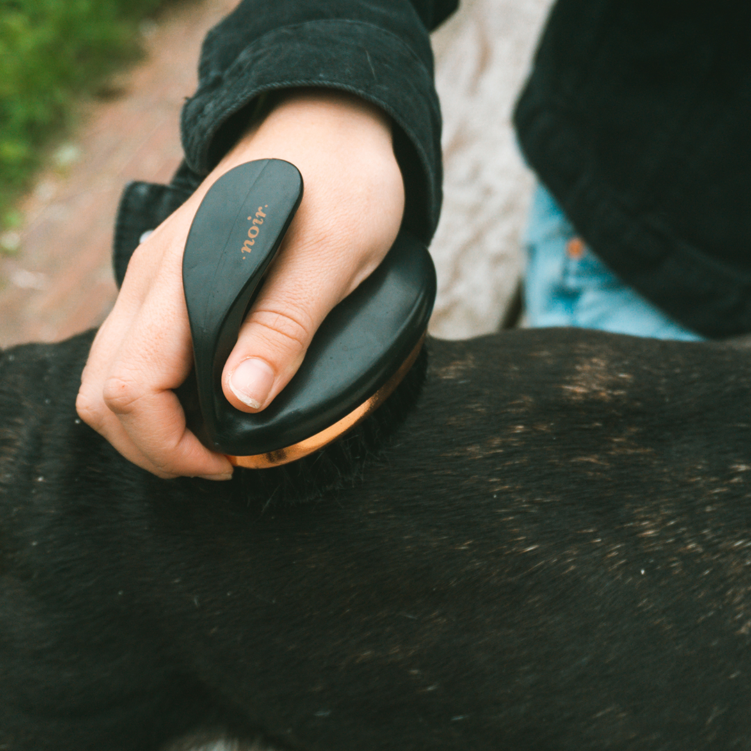 EBI Noir ergonomische weiche Bürste 