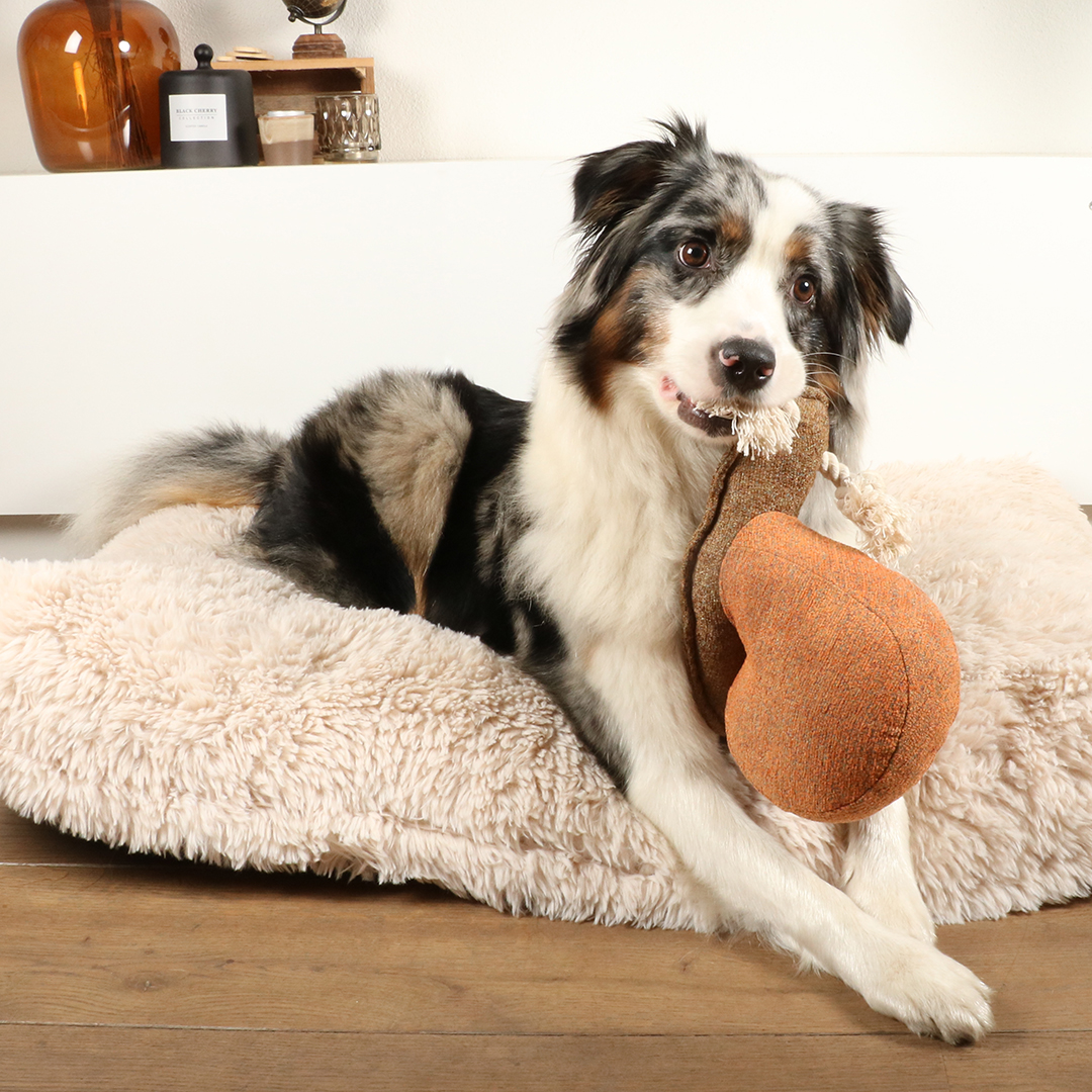 D&D Hundespielzeug Sheldon Chenille - braun 