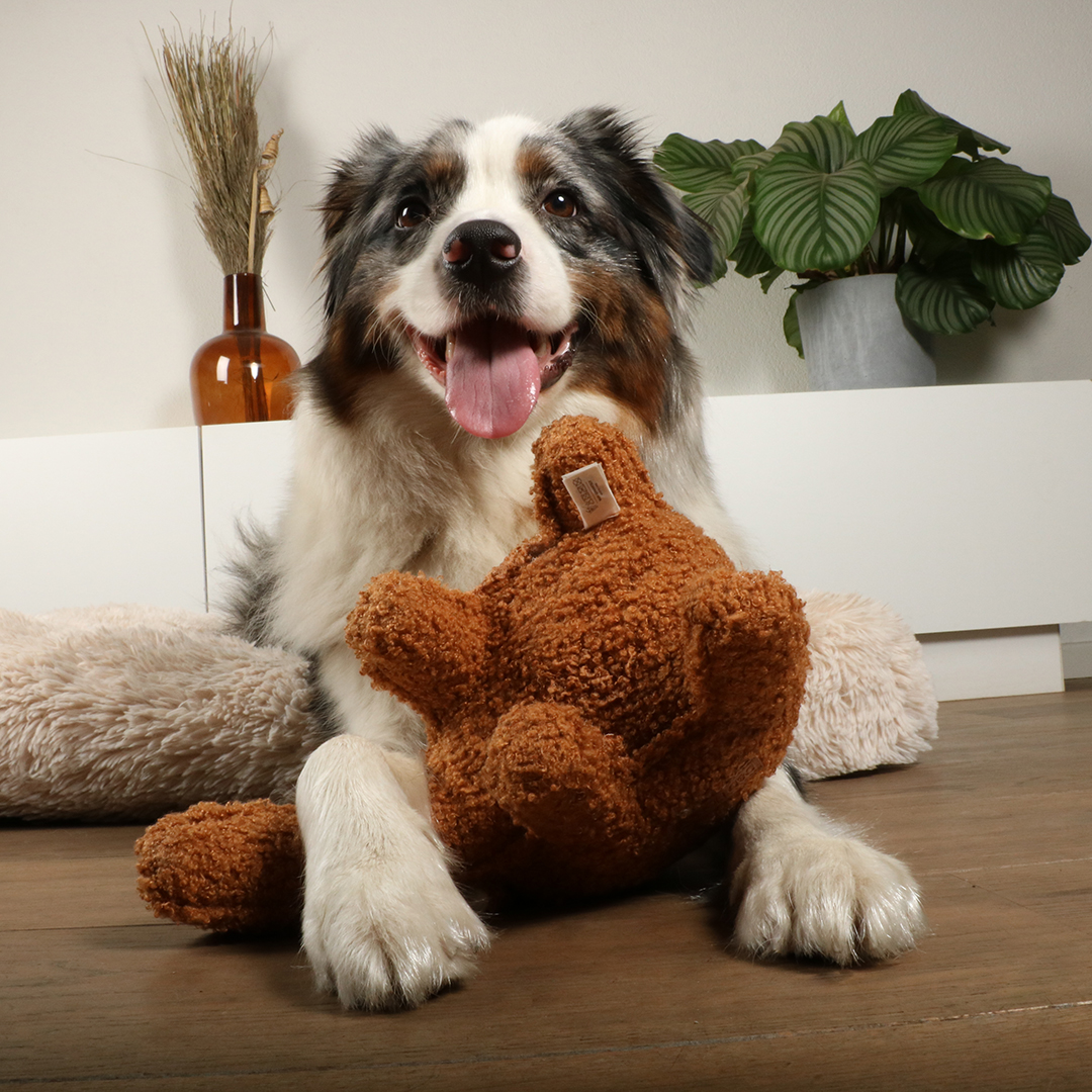 D&D Hundespielzeug Liz Teddystoff - braun 