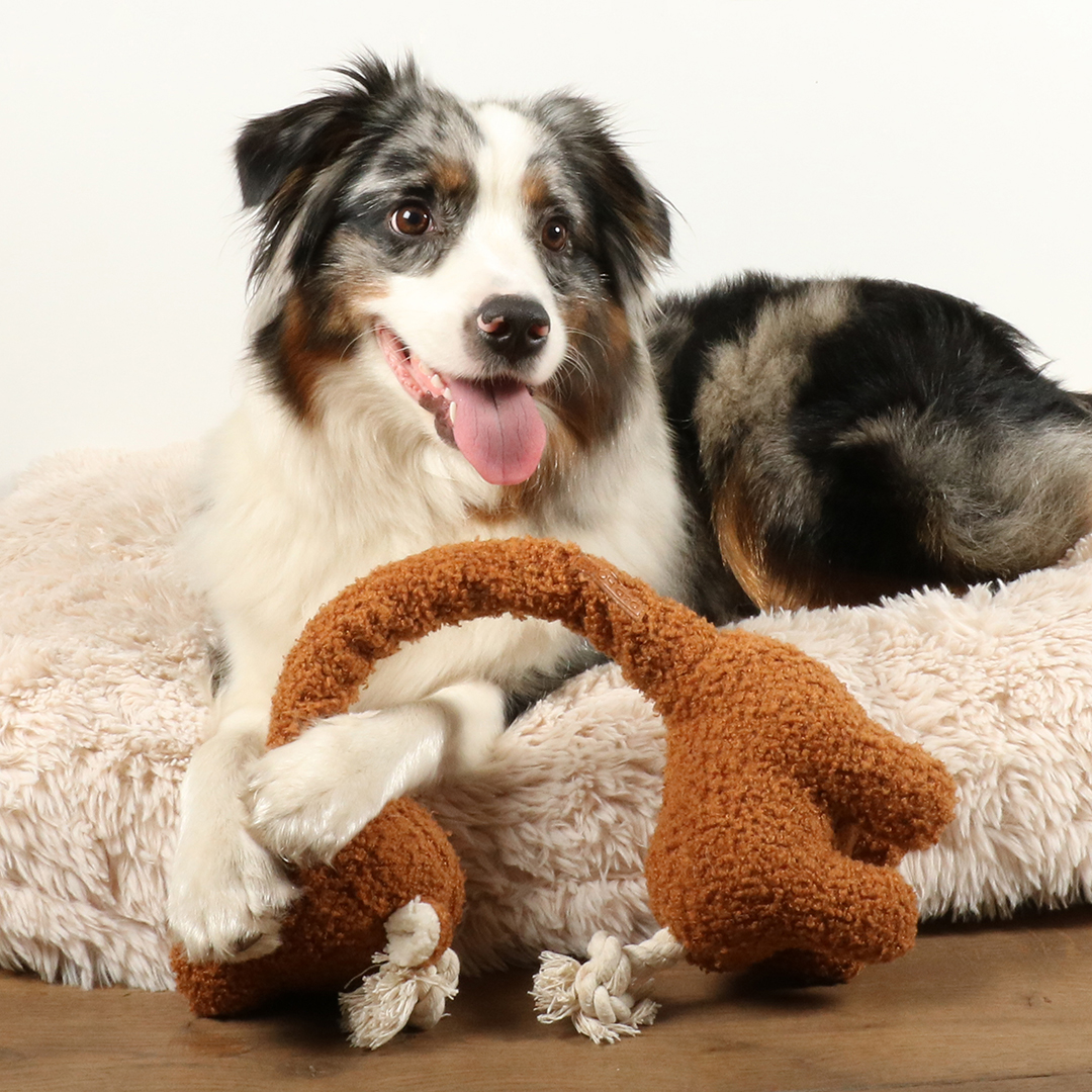 D&D Hundespielzeug George Teddystoff - braun 