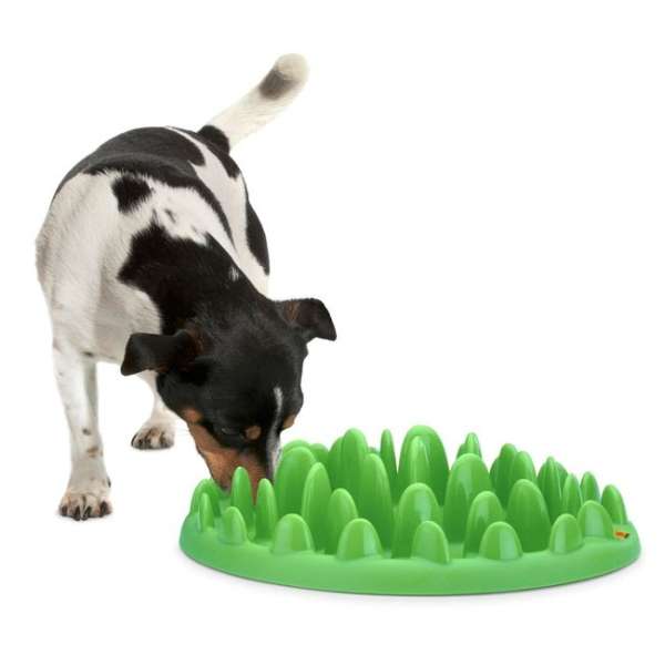 Karlie NORTHMATE GREEN Hunde-Anti-Schling-Spielzeug 