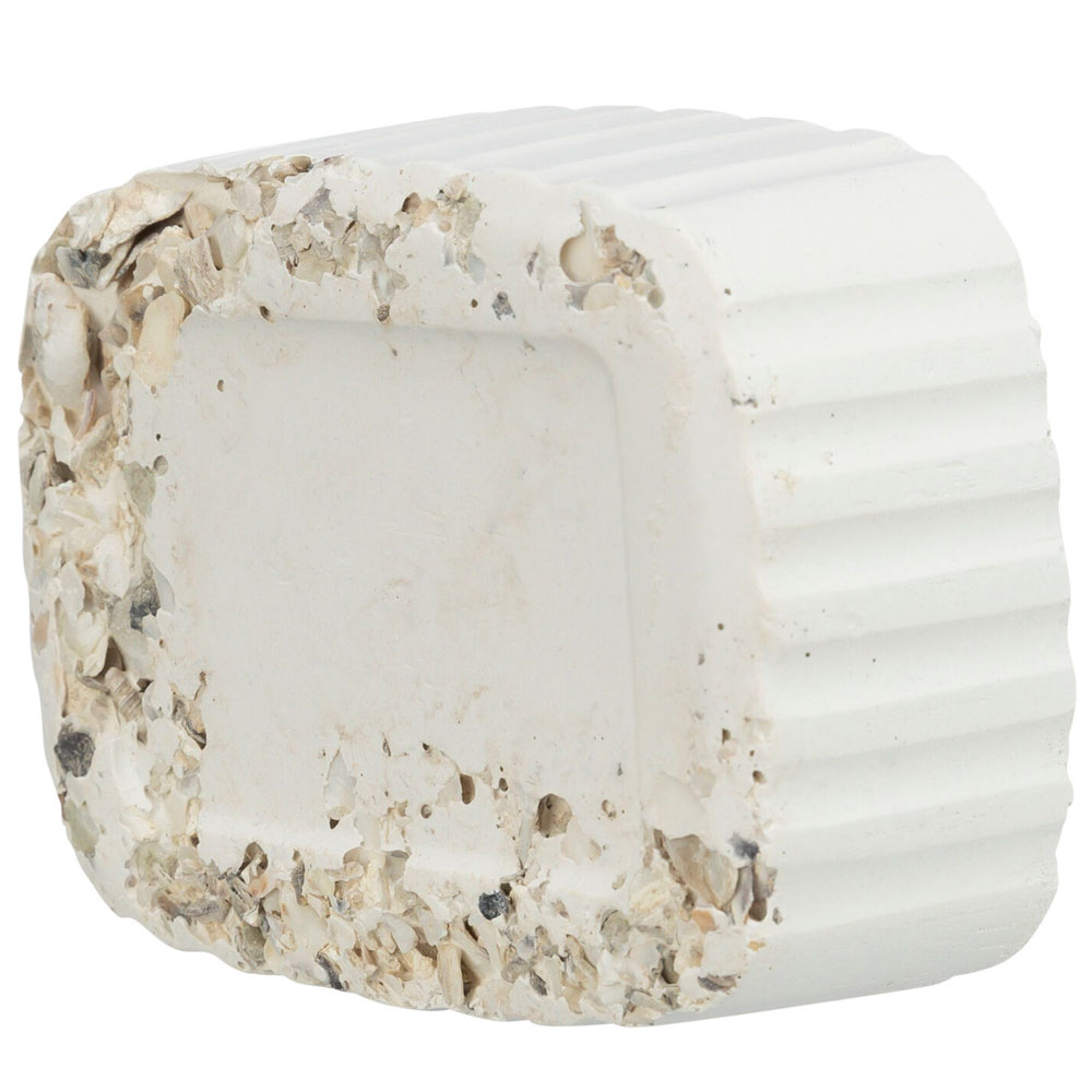 Trixie Pickstein mit Muscheln - 200 g 