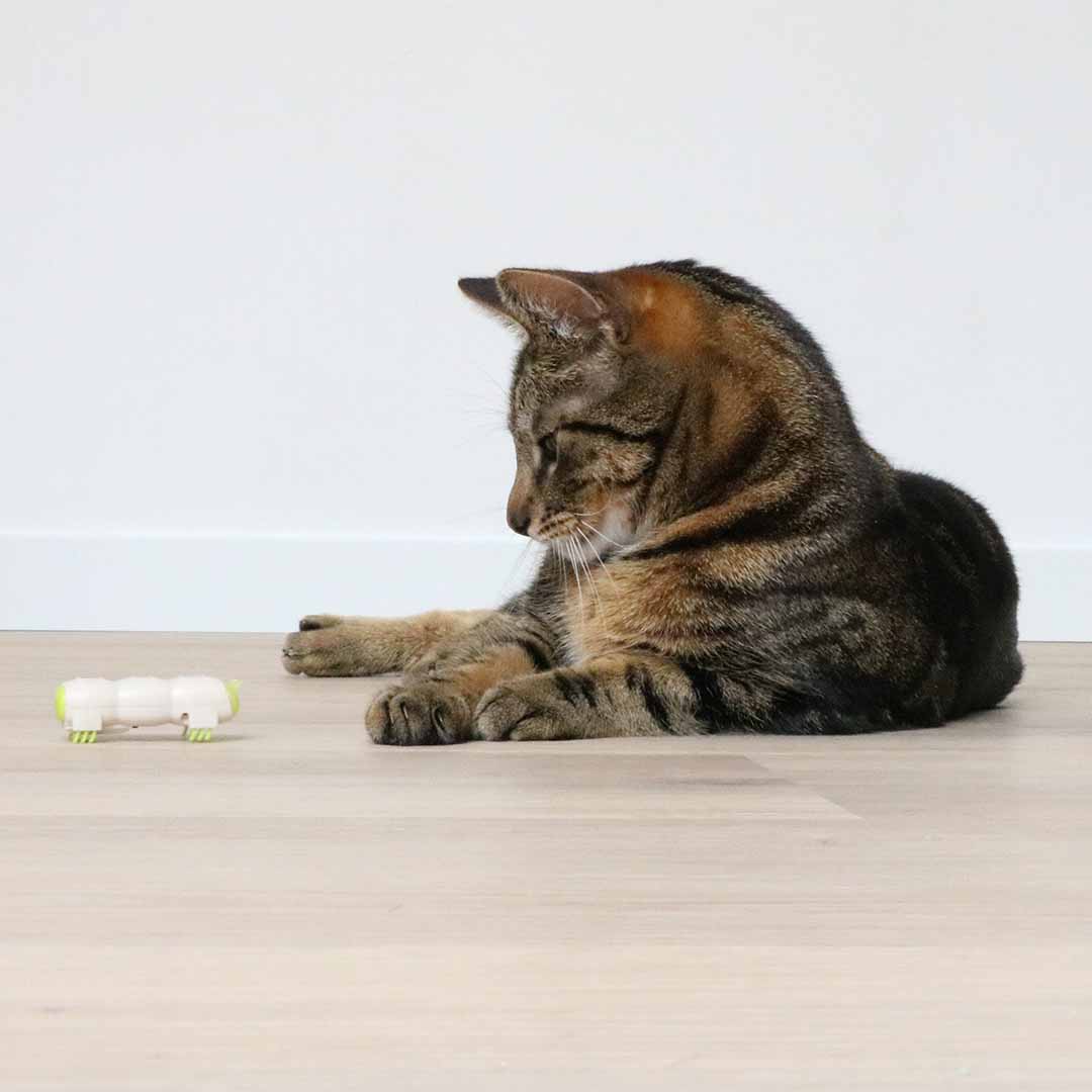 EBI Cat Toy Buzzing Caterpillar 