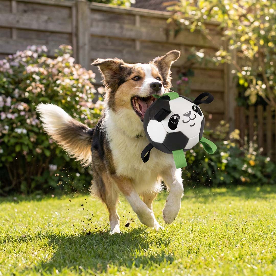Duvoplus Fußball Panda mit Pumpe 
