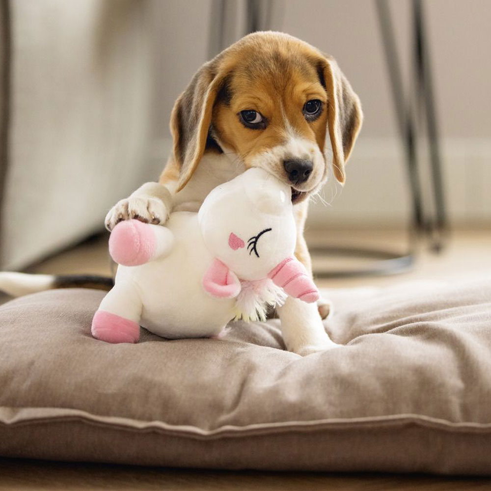 Beeztees Puppy Spielzeug Einhorn Owen 