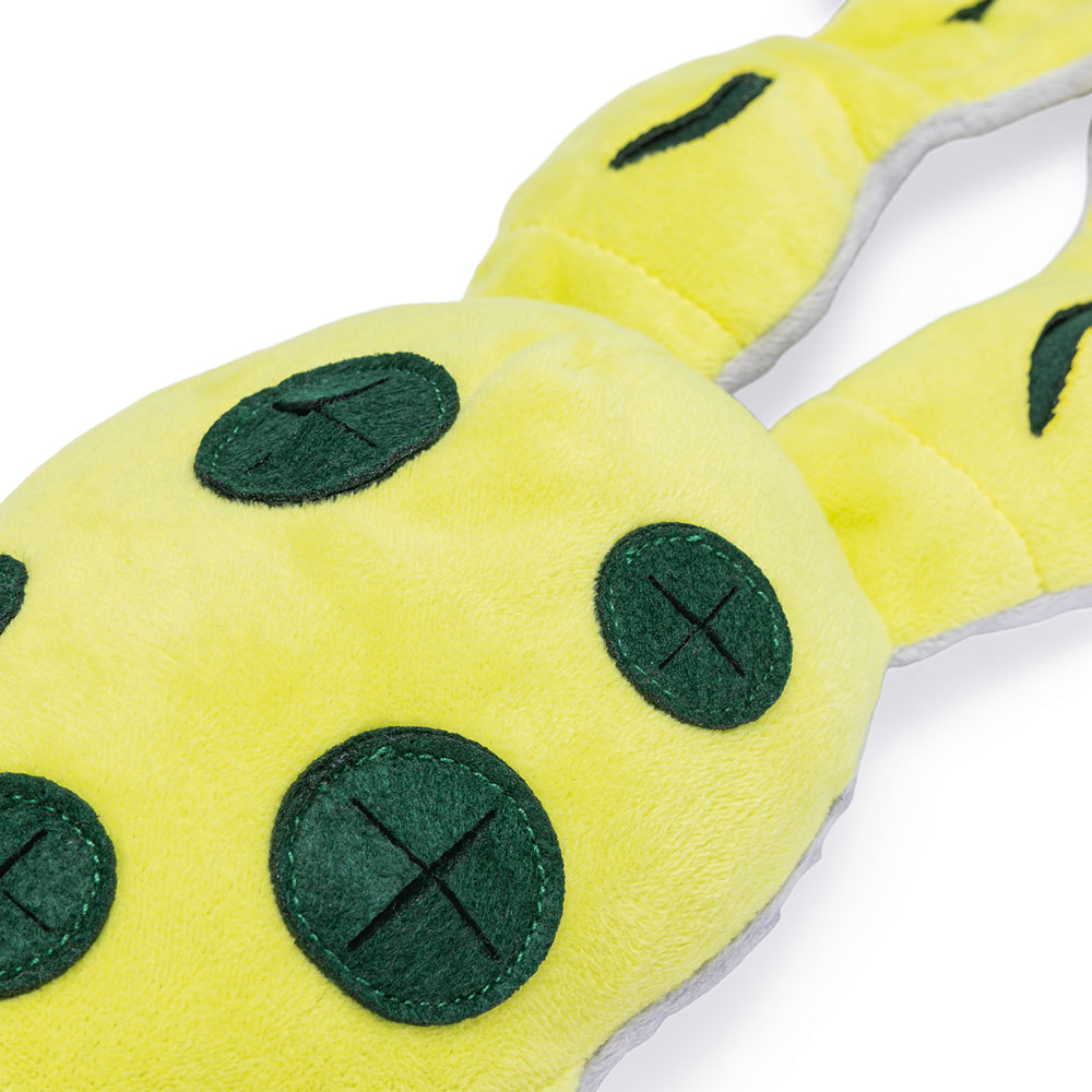 Beeztees Hide And Seek Frosch 