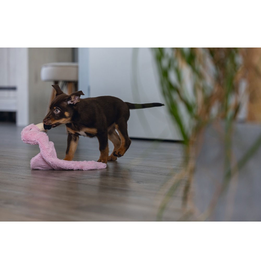 Beeztees Puppy Flatino Flamingo Fe 