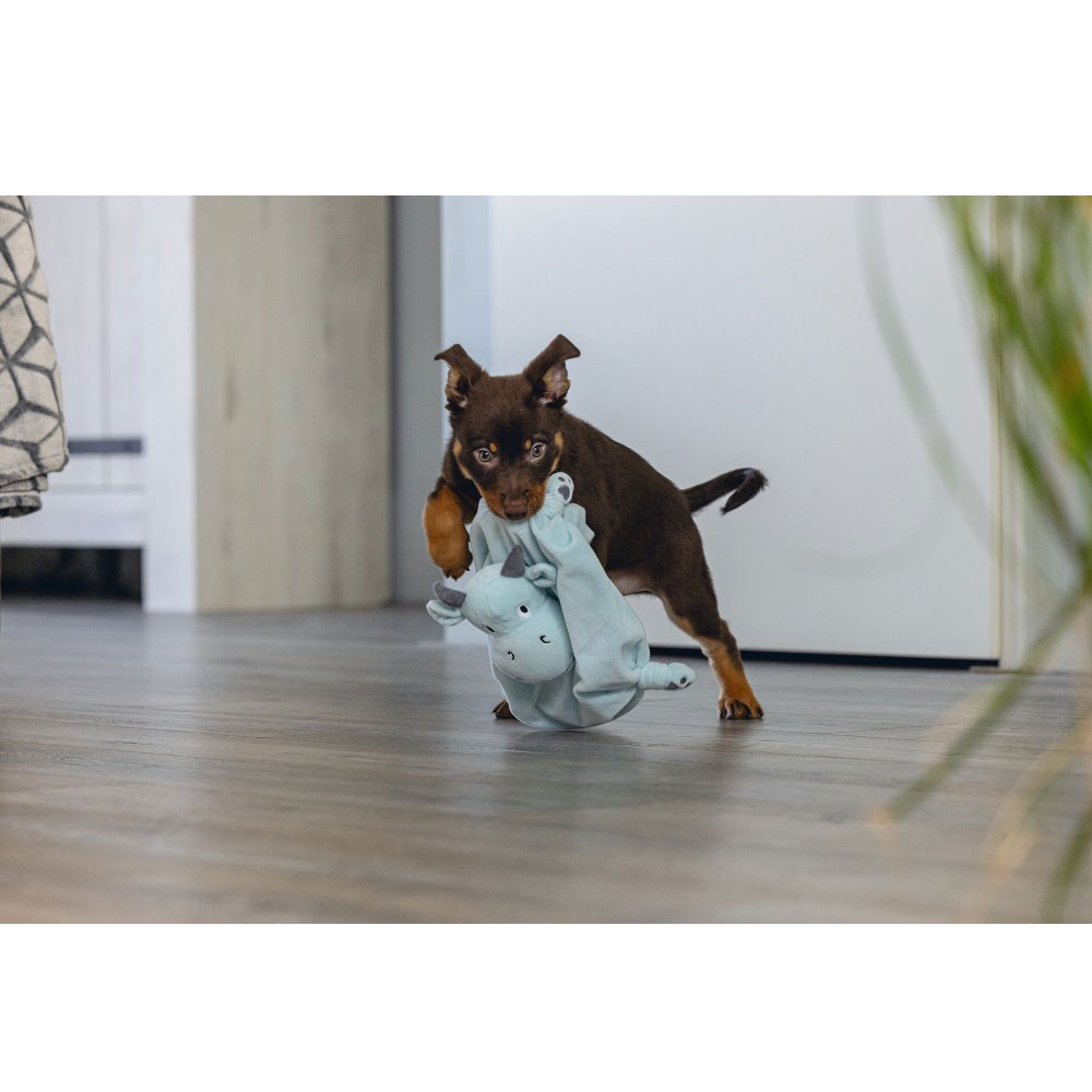 Beeztees Puppy Kuscheltuch Drache 