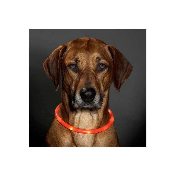 Karlie Visio Light LED-Leuchtschlauch mit USB - Orange 