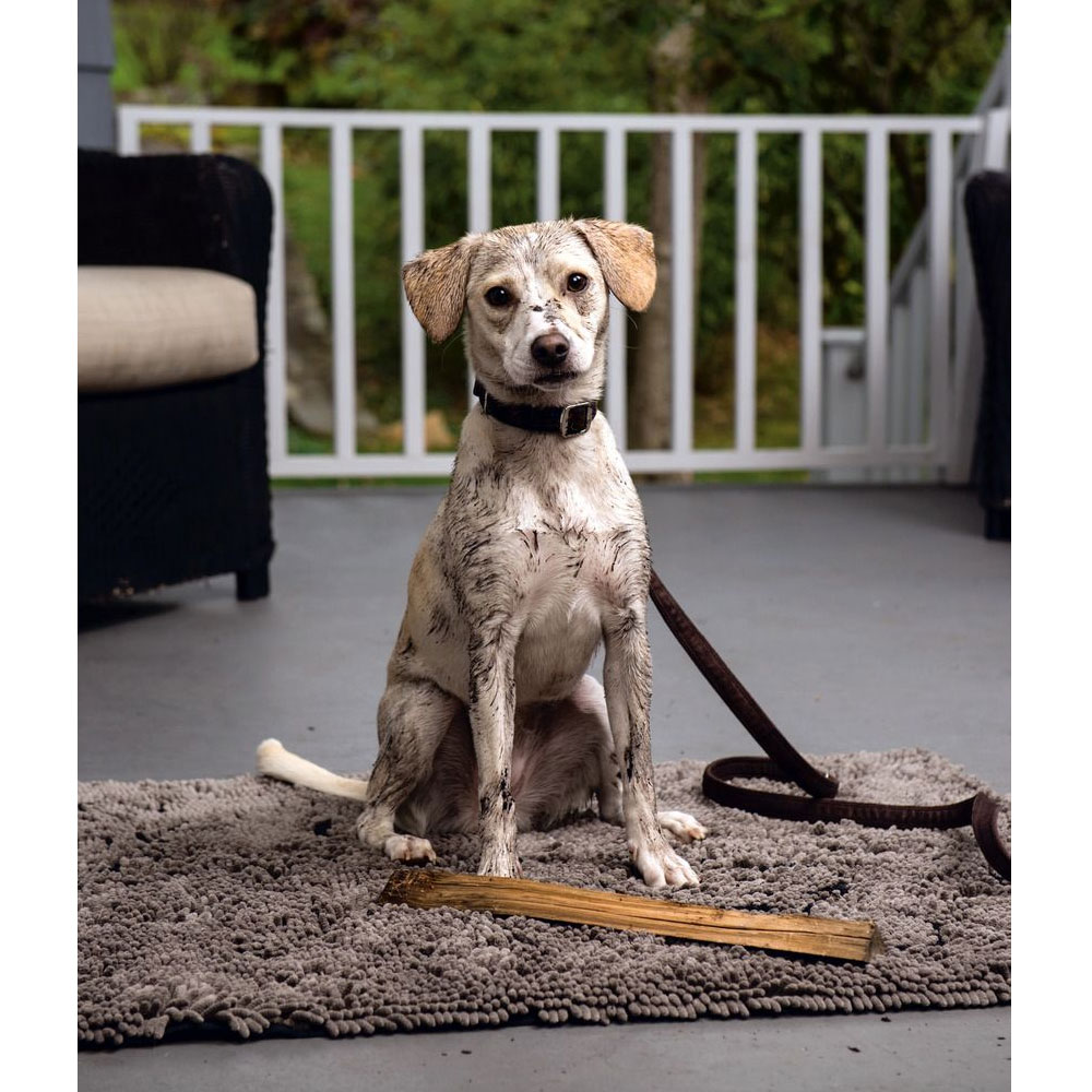 DGS Dirty Dog Cushion Hundematte 