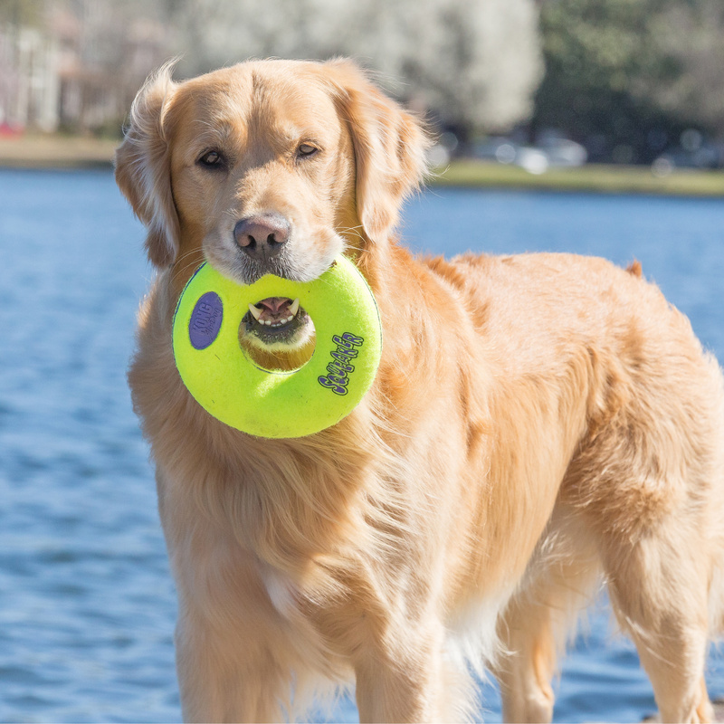 KONG Air Squeaker Donut 