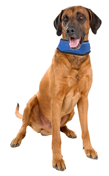 Karlie "Kühl-Kombi": Matte + Bandana 