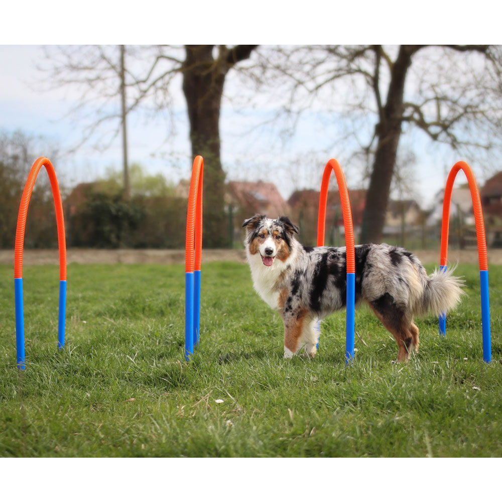 PROCYON Hoopers Set 