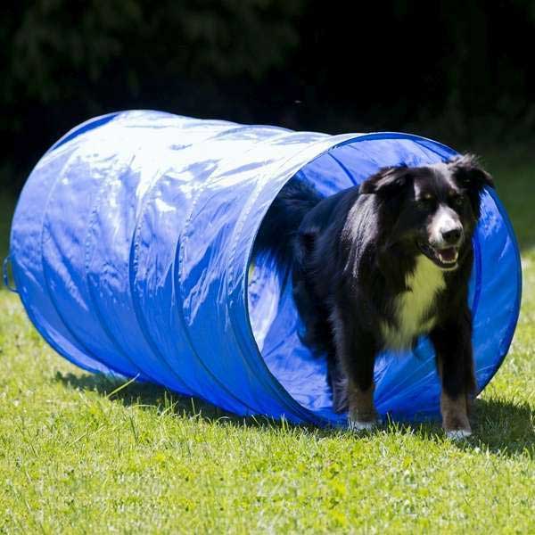 Dog Agility Set K2 PRO 