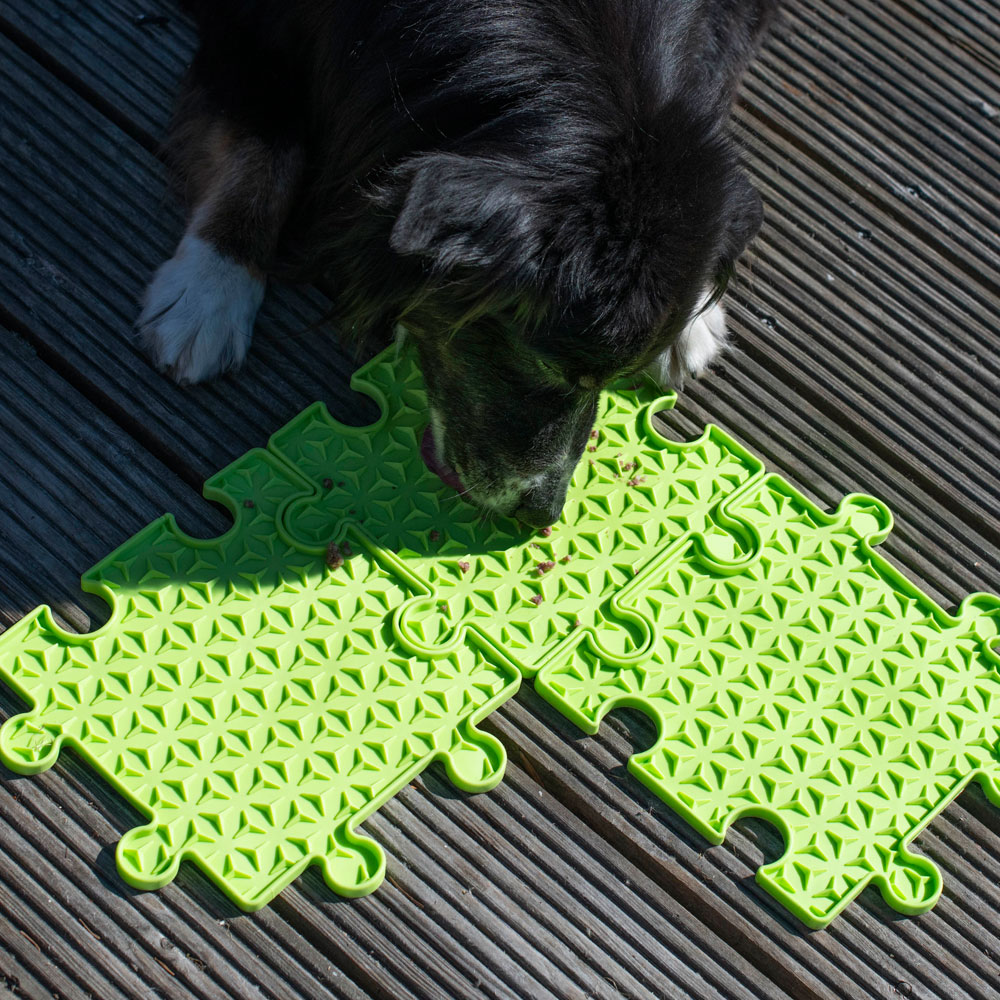 PROCYON Ladi Mat Schleckplatte Puzzle 