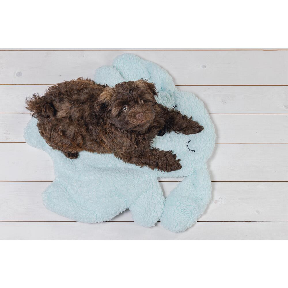 Beeztees Hundematte Welpe Pimba - hellblau 