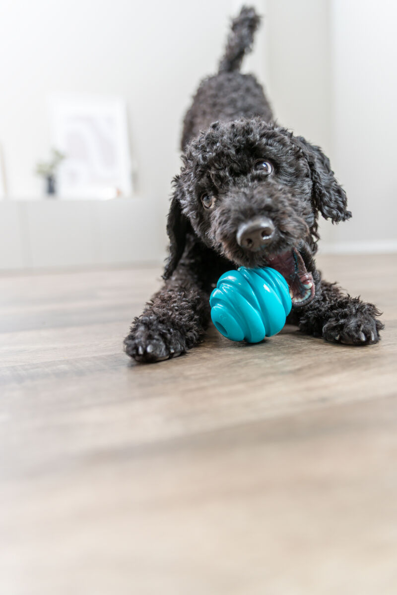 Trixie Super Strong Ball 