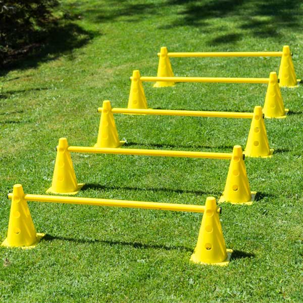 PROCYON Dog Agility Mini Pylonen-Hürden, 3 St. 