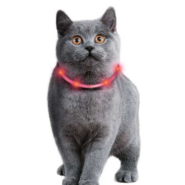Karlie Visio Light Cat LED-Schlauch mit USB - Pink 