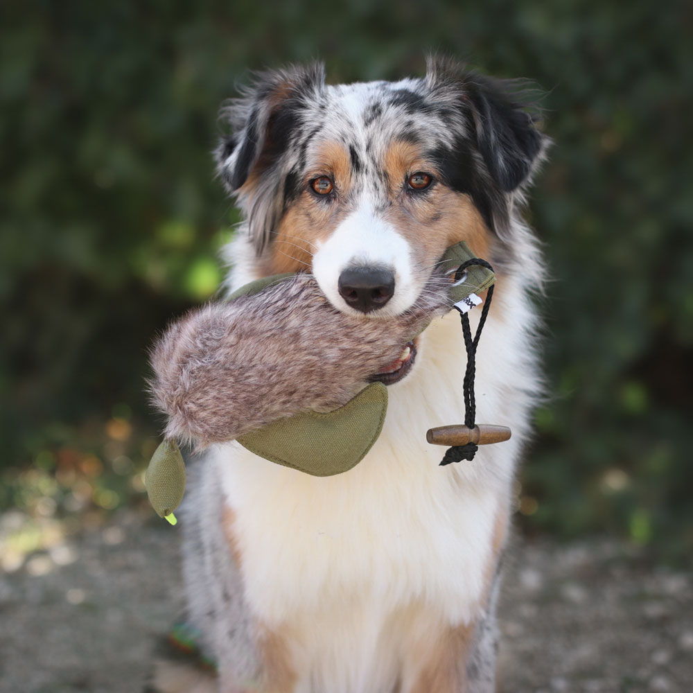 PROCYON Duck Dummy mit Kunstfell 