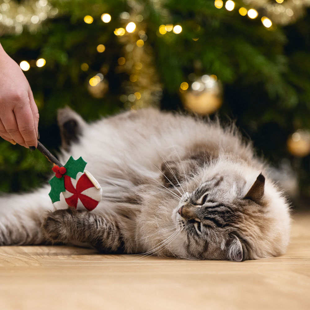 Beeztees Xmas Katzenspielzeug Matatabi-Lollipop 