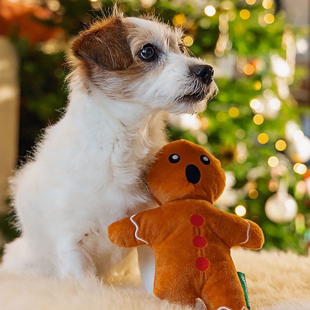Beeztees Xmas Plüschspielzeug Lebkuchenmann 
