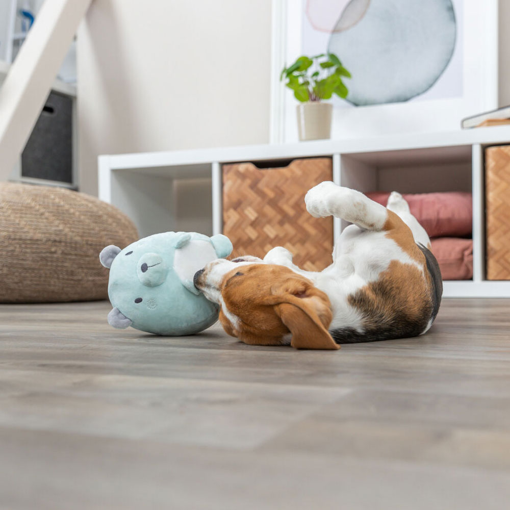 Trixie Junior Plüschtier Bär - geräuschlos 