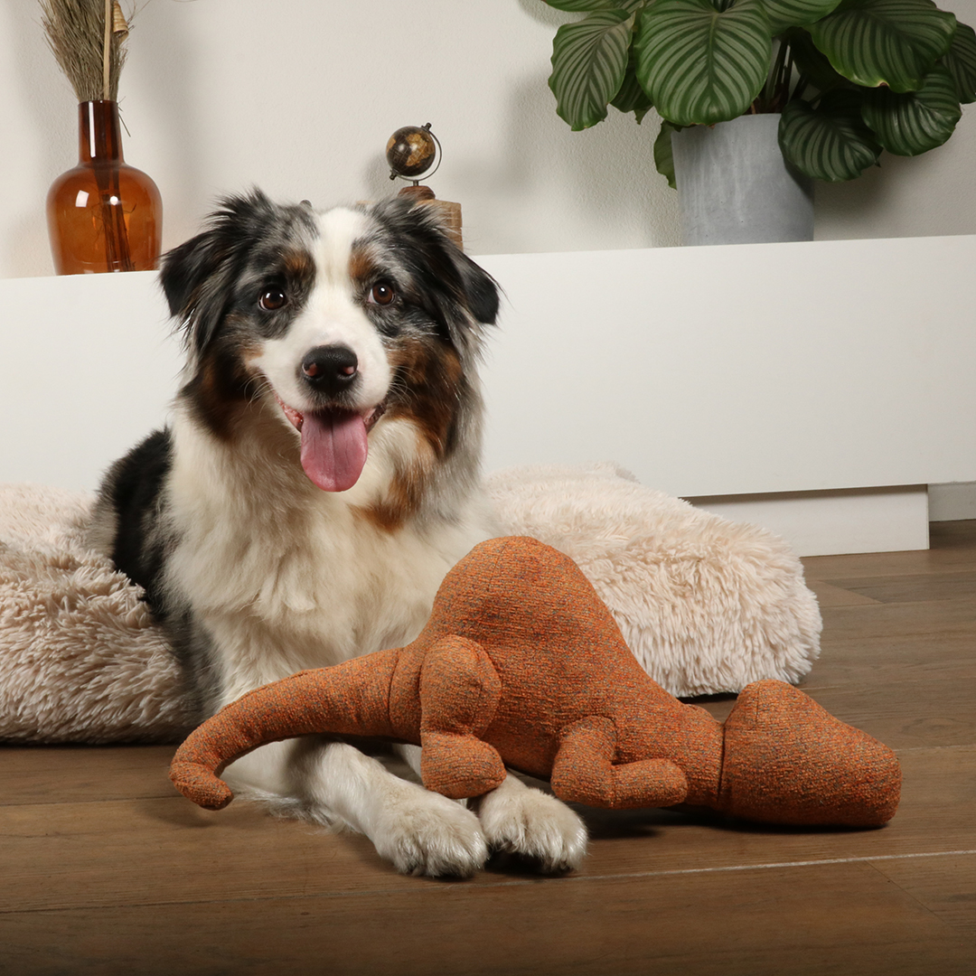 D&D Hundespielzeug Quasi Chenille - braun 