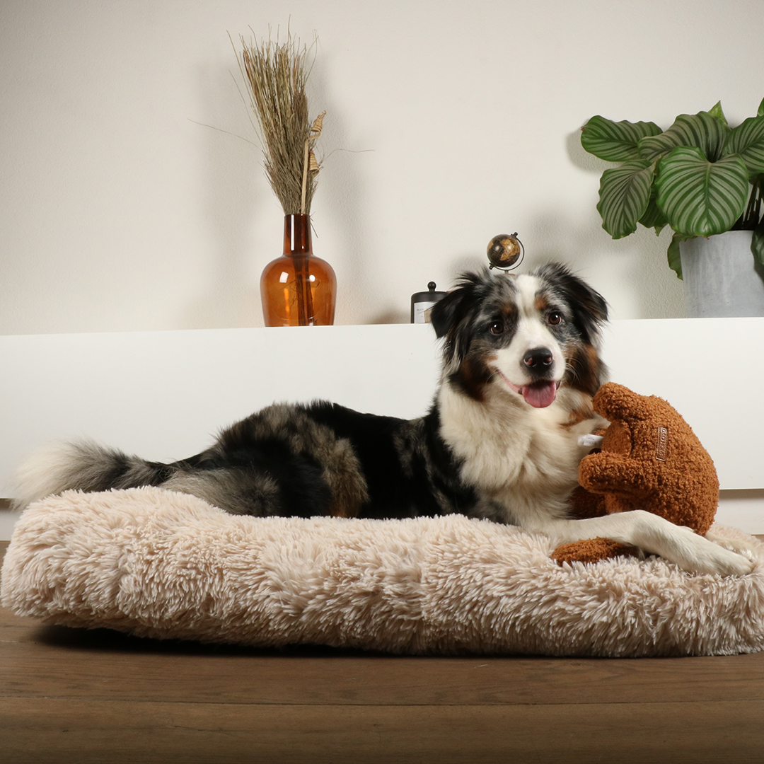 D&D Hundespielzeug Liz Teddystoff - braun 