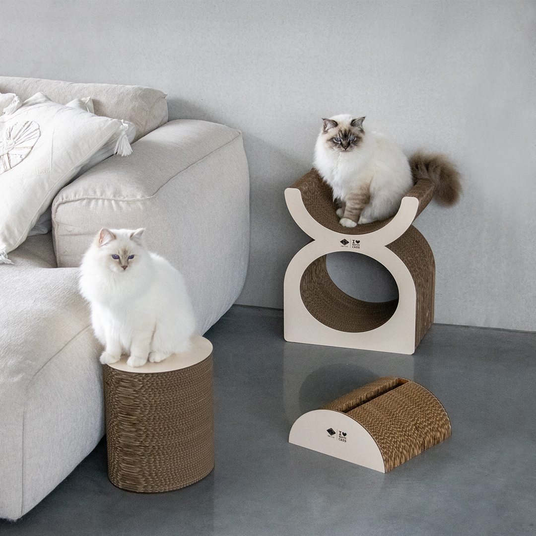 D&D Kratzplayground Faye dreiteilig - braun/beige 