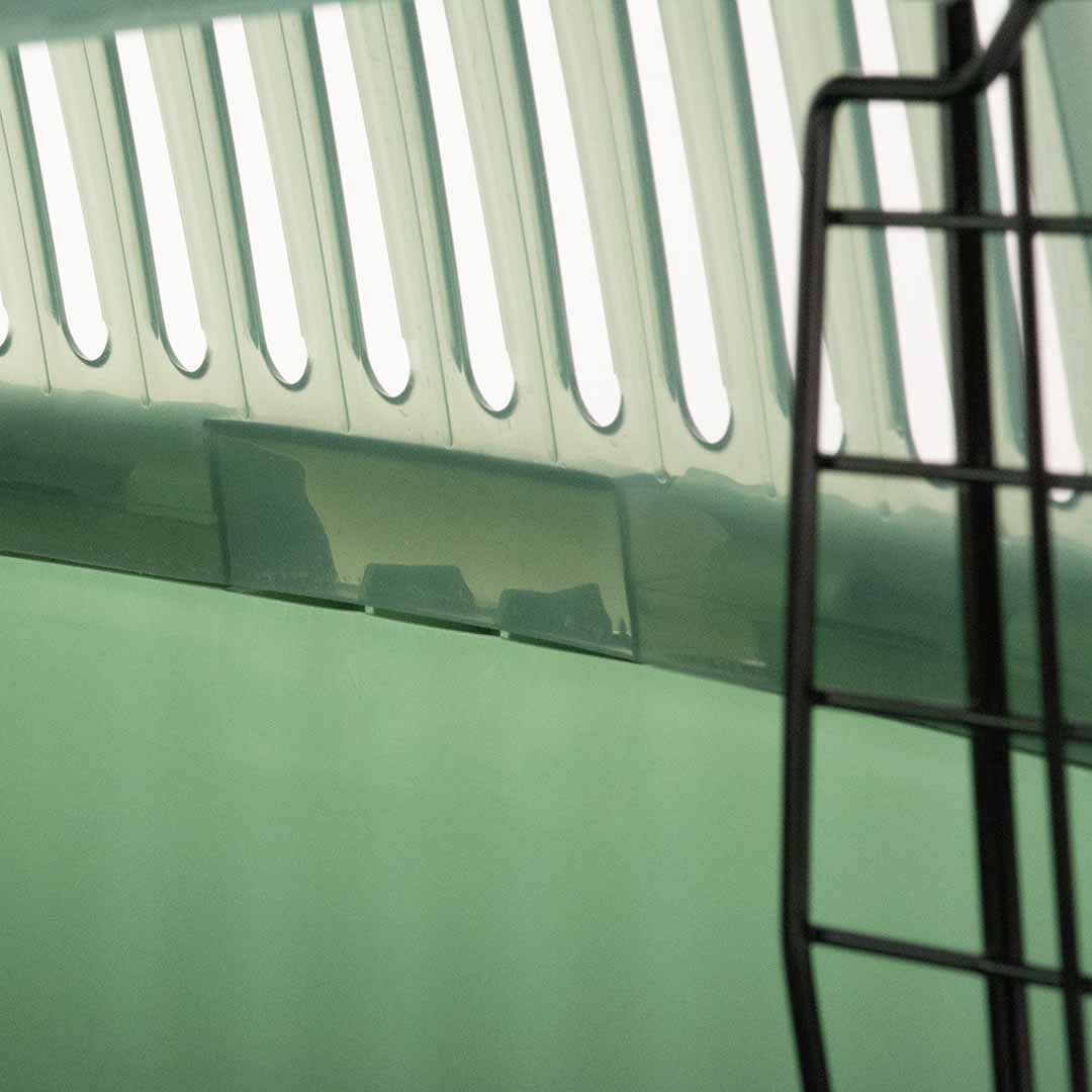 EBI Transportbox Adventurer - transparent/grün 