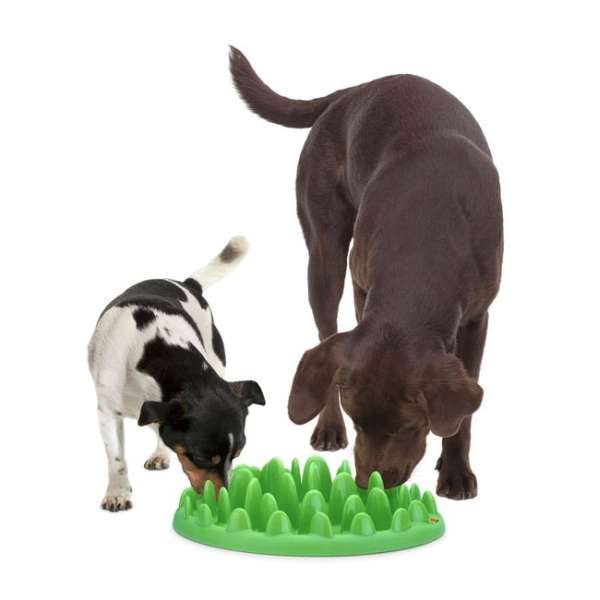 Karlie NORTHMATE GREEN Hunde-Anti-Schling-Spielzeug 