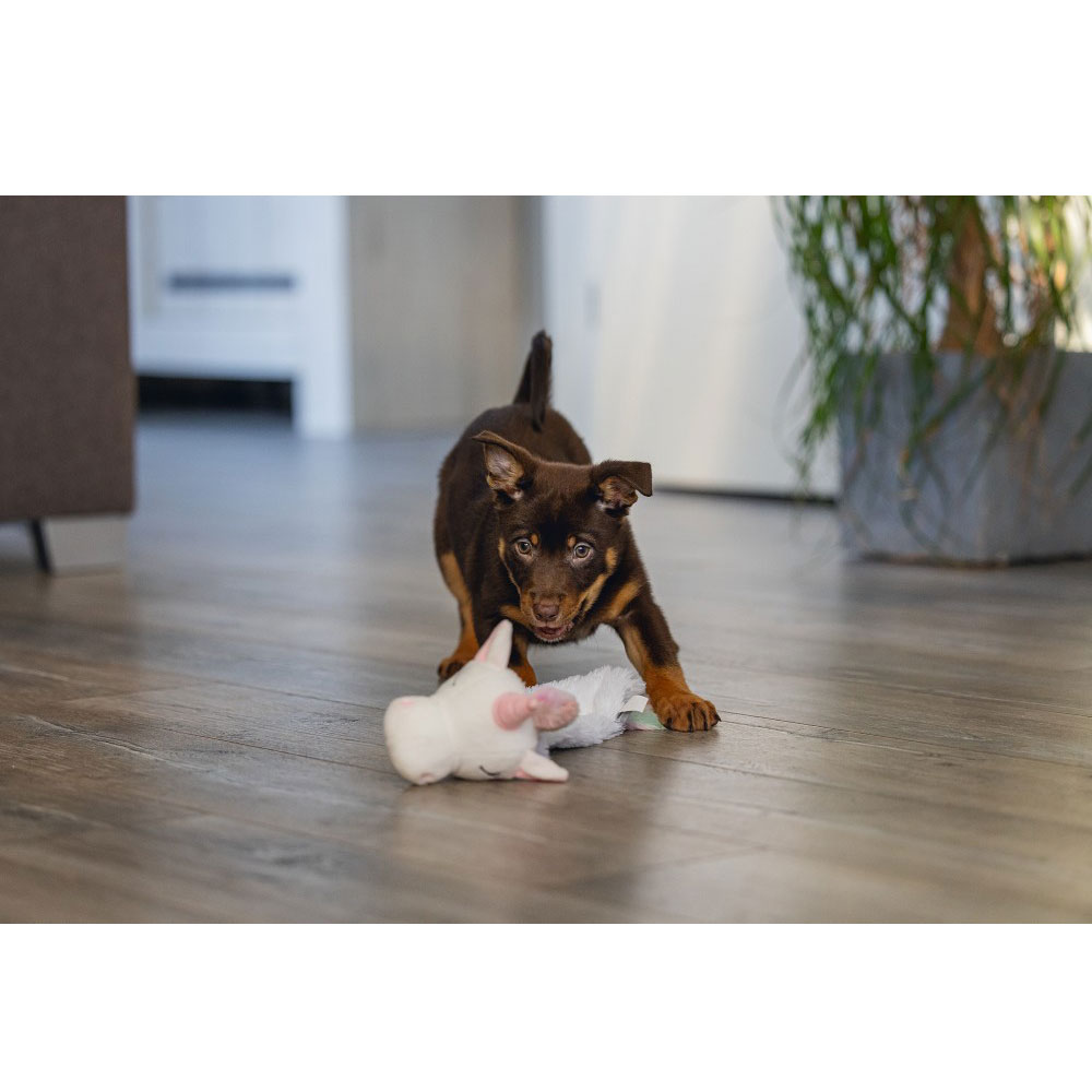 Beeztees Puppy Flatino Einhorn Lo 