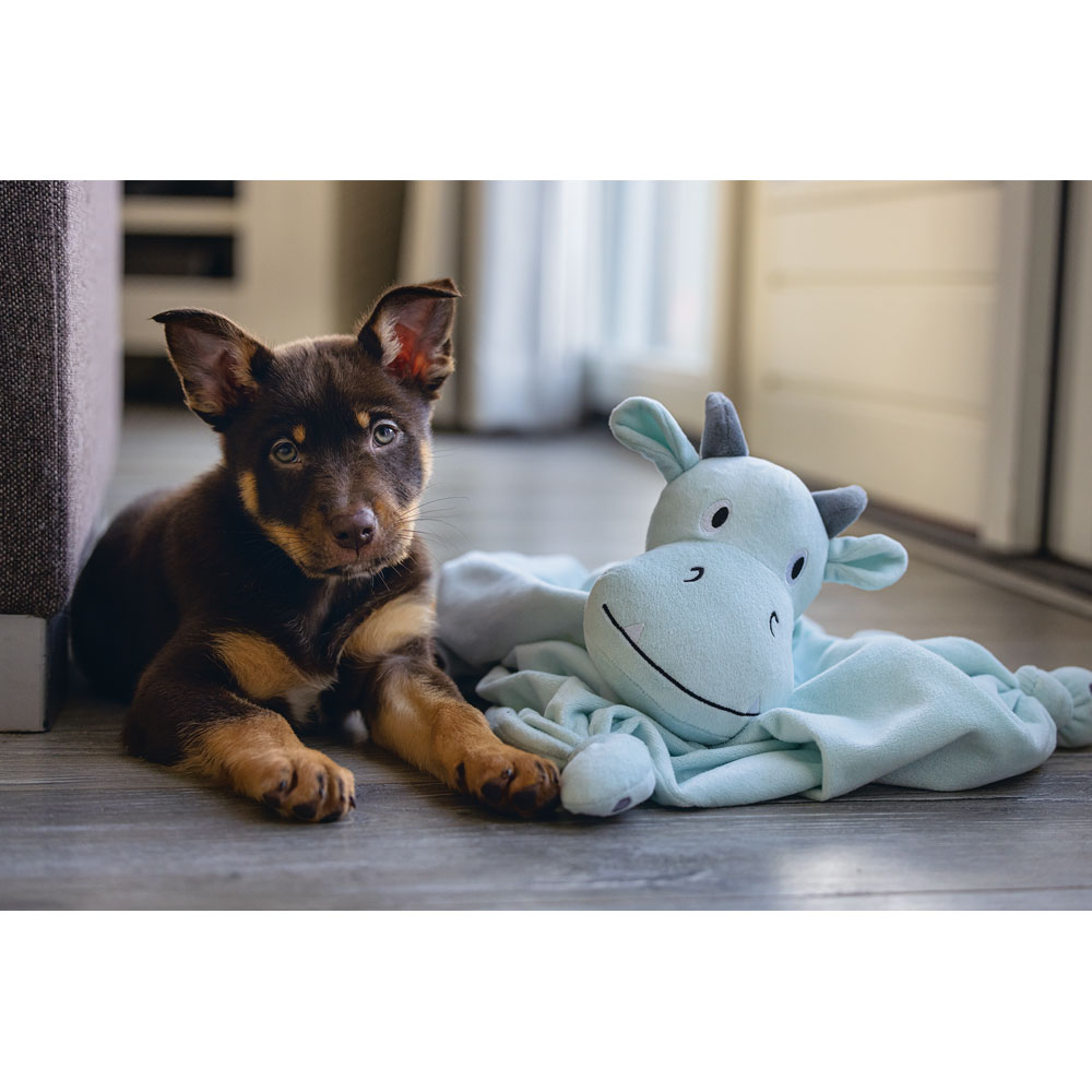Beeztees Puppy Kuscheltuch Drache 46 x 40 x 7,5 cm